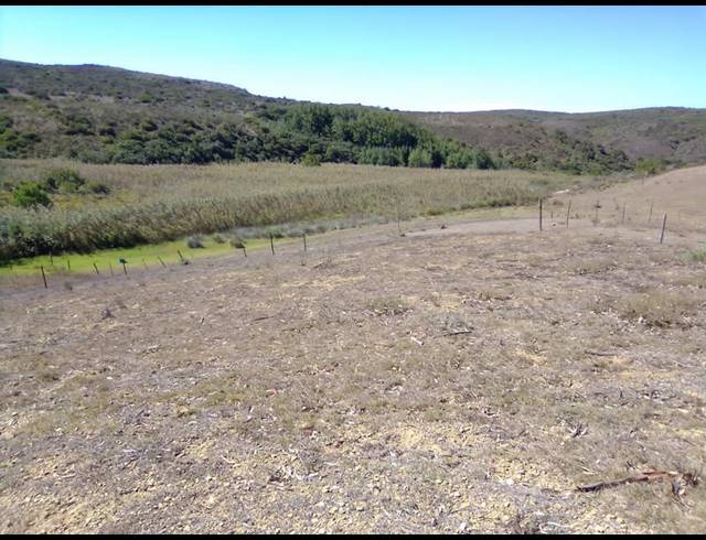 FARM FOR SALE IN STILBAAI RURAL